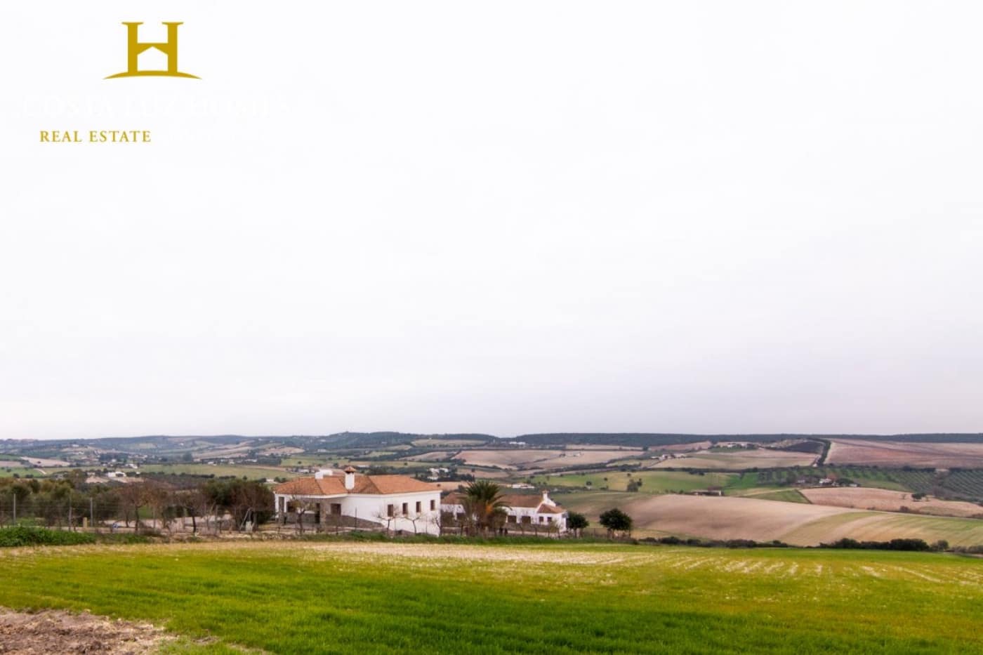 7 soveværelse Finca/Landehus til salg i Arcos de la Frontera med swimmingpool - € 500.000 (Ref: 6508987)