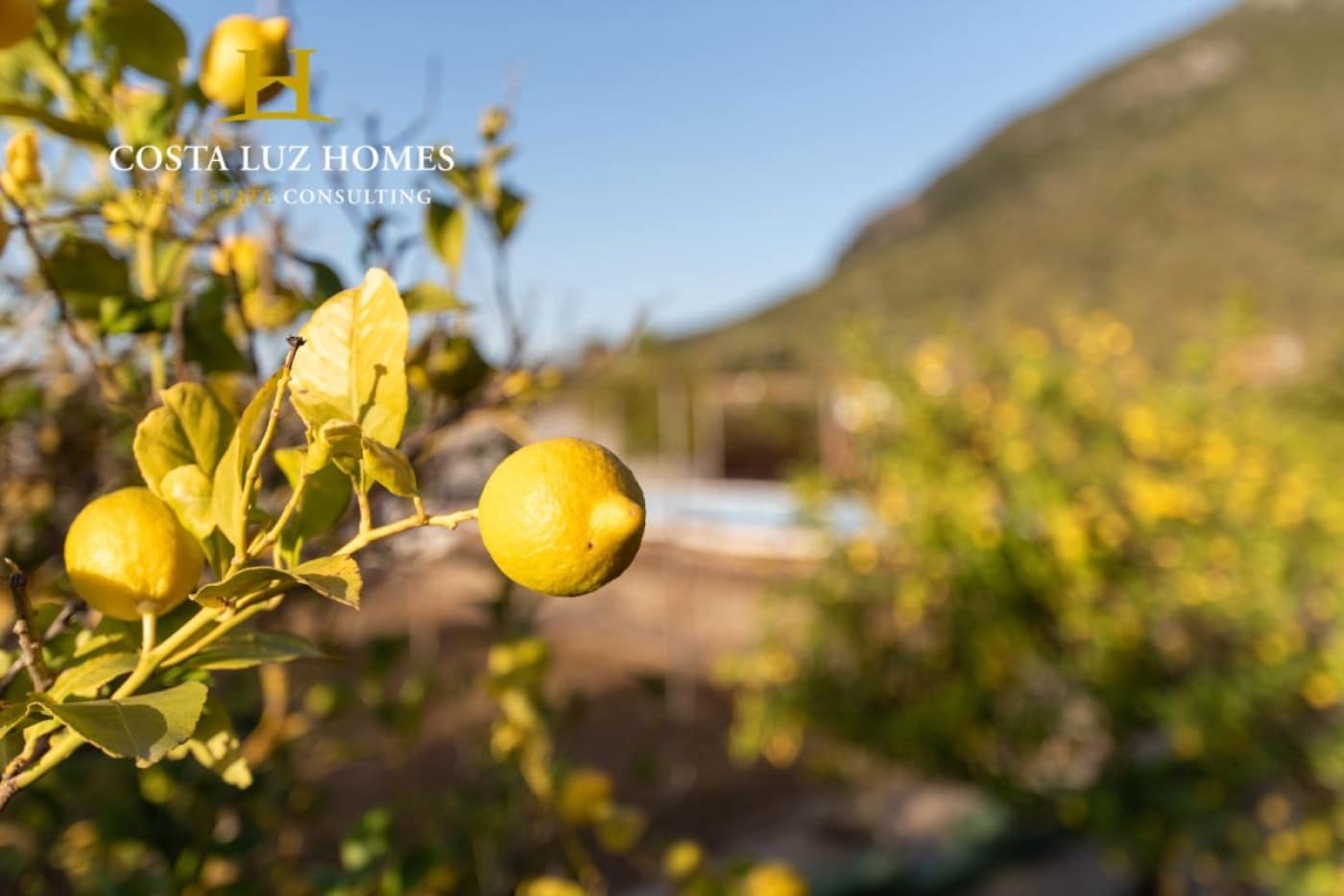 6 camera da letto Finca/Casa di Campagna in vendita in El Bosque con piscina - 450.000 € (Rif: 6508990)