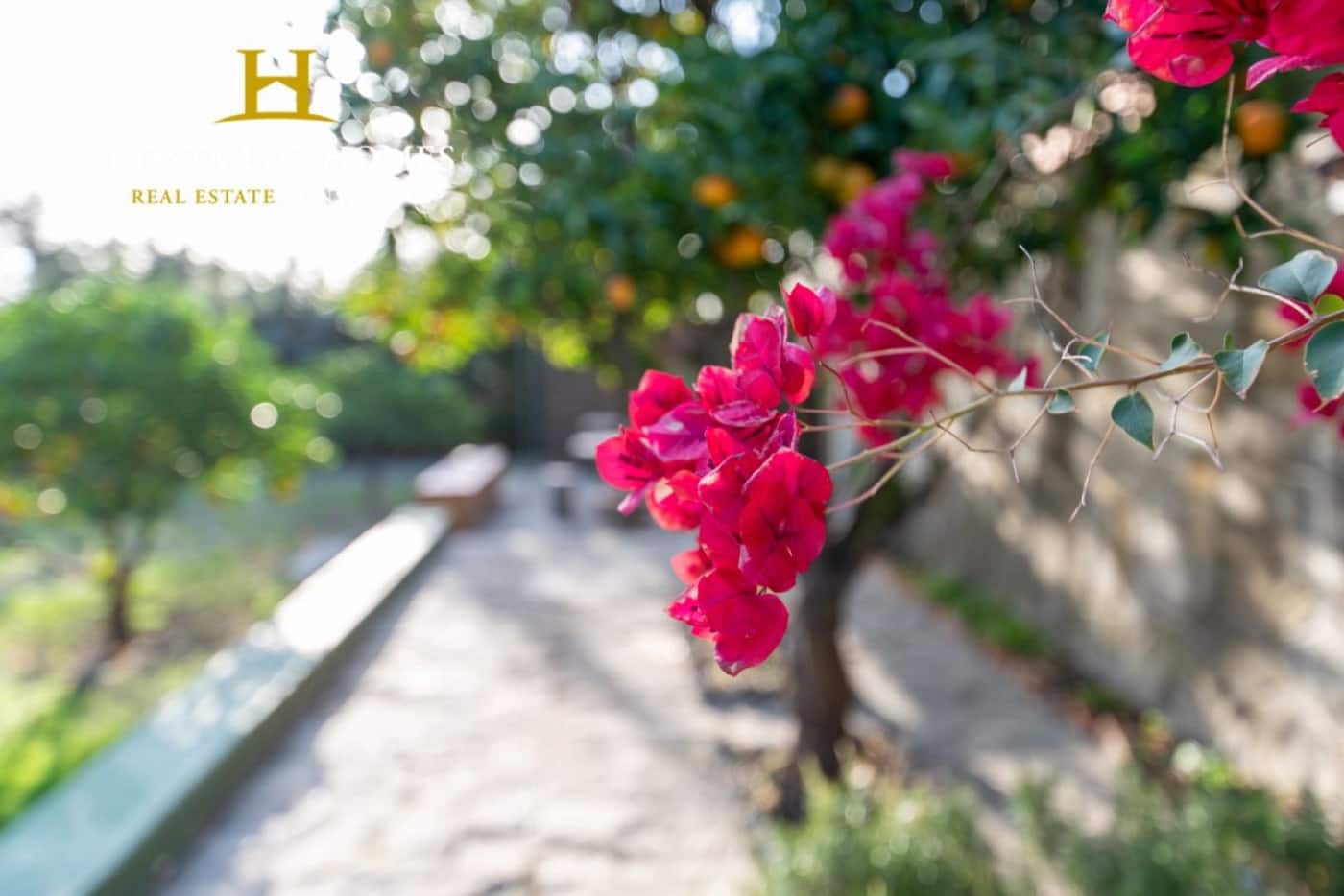 6 camera da letto Finca/Casa di Campagna in vendita in El Bosque con piscina - 450.000 € (Rif: 6508990)