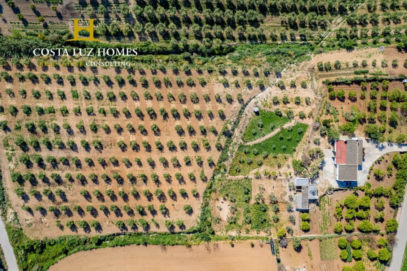 3 soveværelse Finca/Landehus til salg i Arcos de la Frontera - € 185.000 (Ref: 6792730)