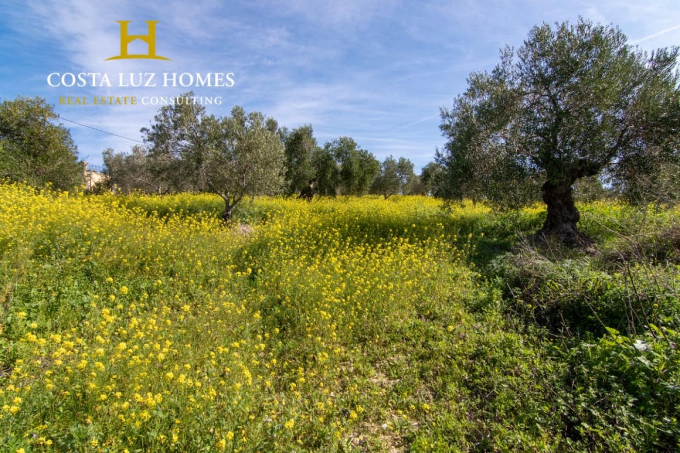 4 soverom Finca/Herregård til salgs i Arcos de la Frontera - € 350 000 (Ref: 6832982)