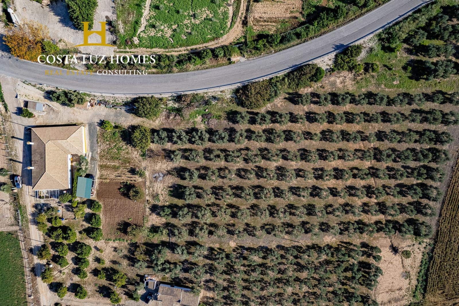 4 soveværelse Finca/Landehus til salg i Arcos de la Frontera - € 250.000 (Ref: 7896385)