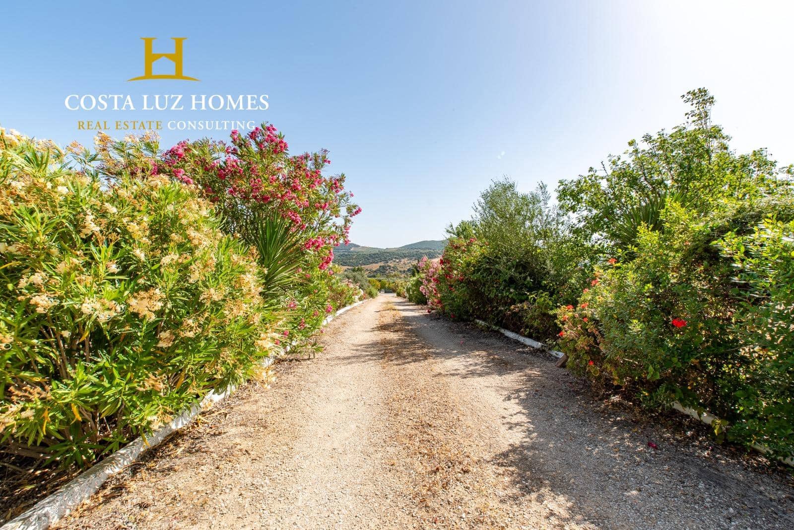 3 soveværelse Finca/Landehus til salg i Arcos de la Frontera med swimmingpool - € 450.000 (Ref: 8352241)