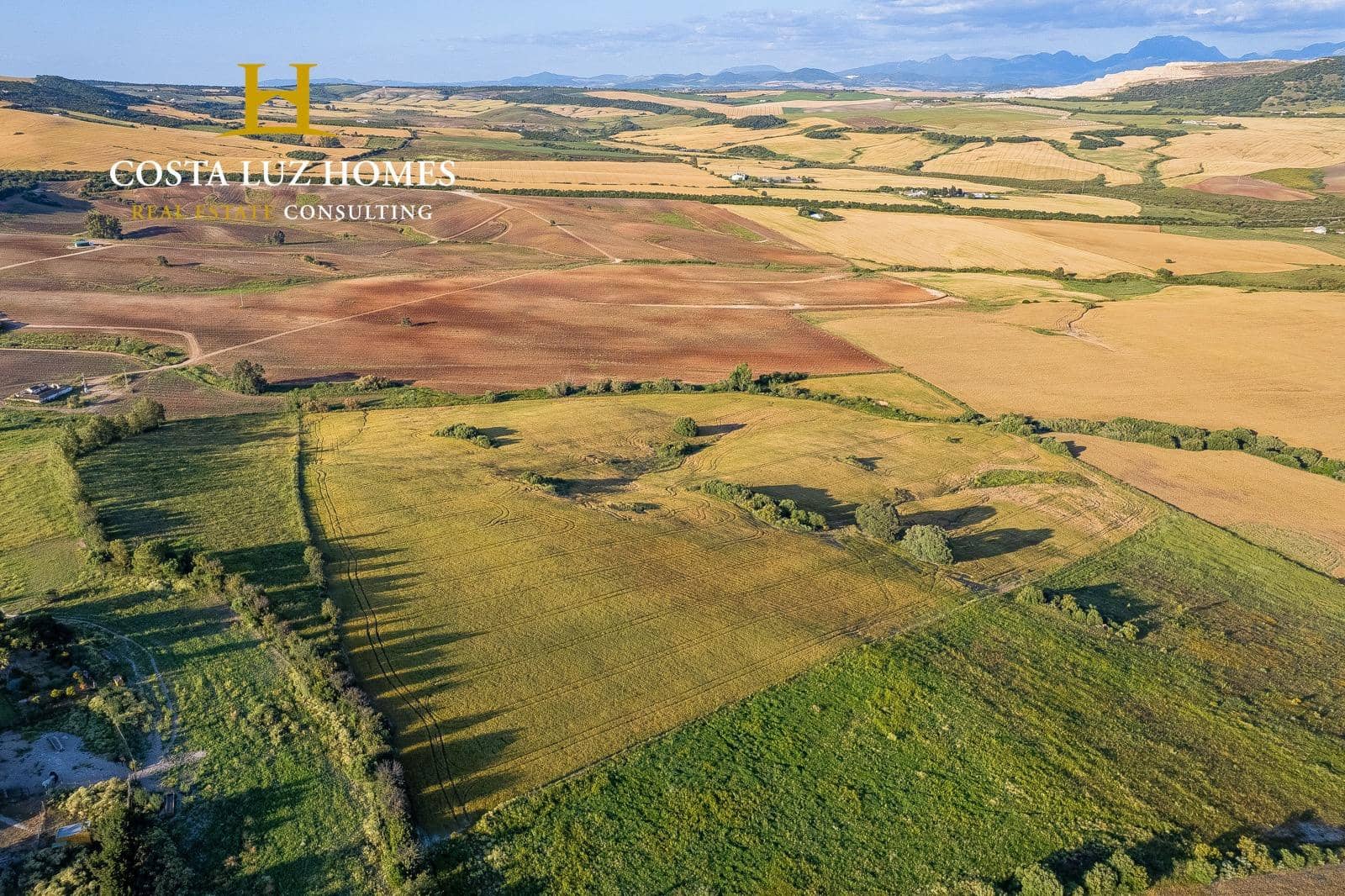 Ubebygd land til salgs i Arcos de la Frontera - € 300 000 (Ref: 9081563)