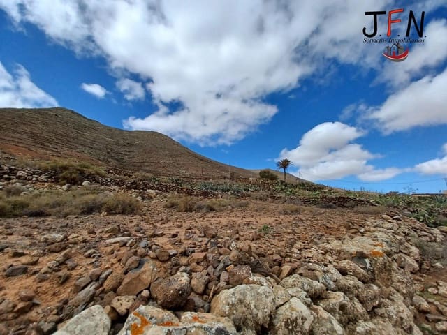 Rakentamaton maa myytävänä paikassa La Oliva - 100 000 € (Ref: 9062481)