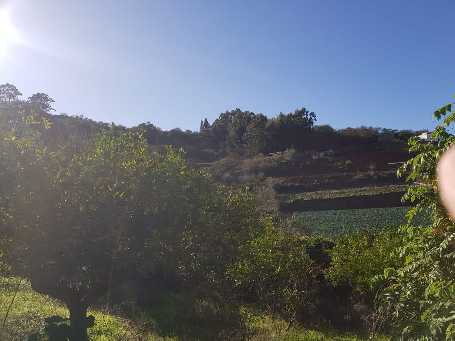 Building Plot for sale in Moya - € 730,000 (Ref: 9882250)