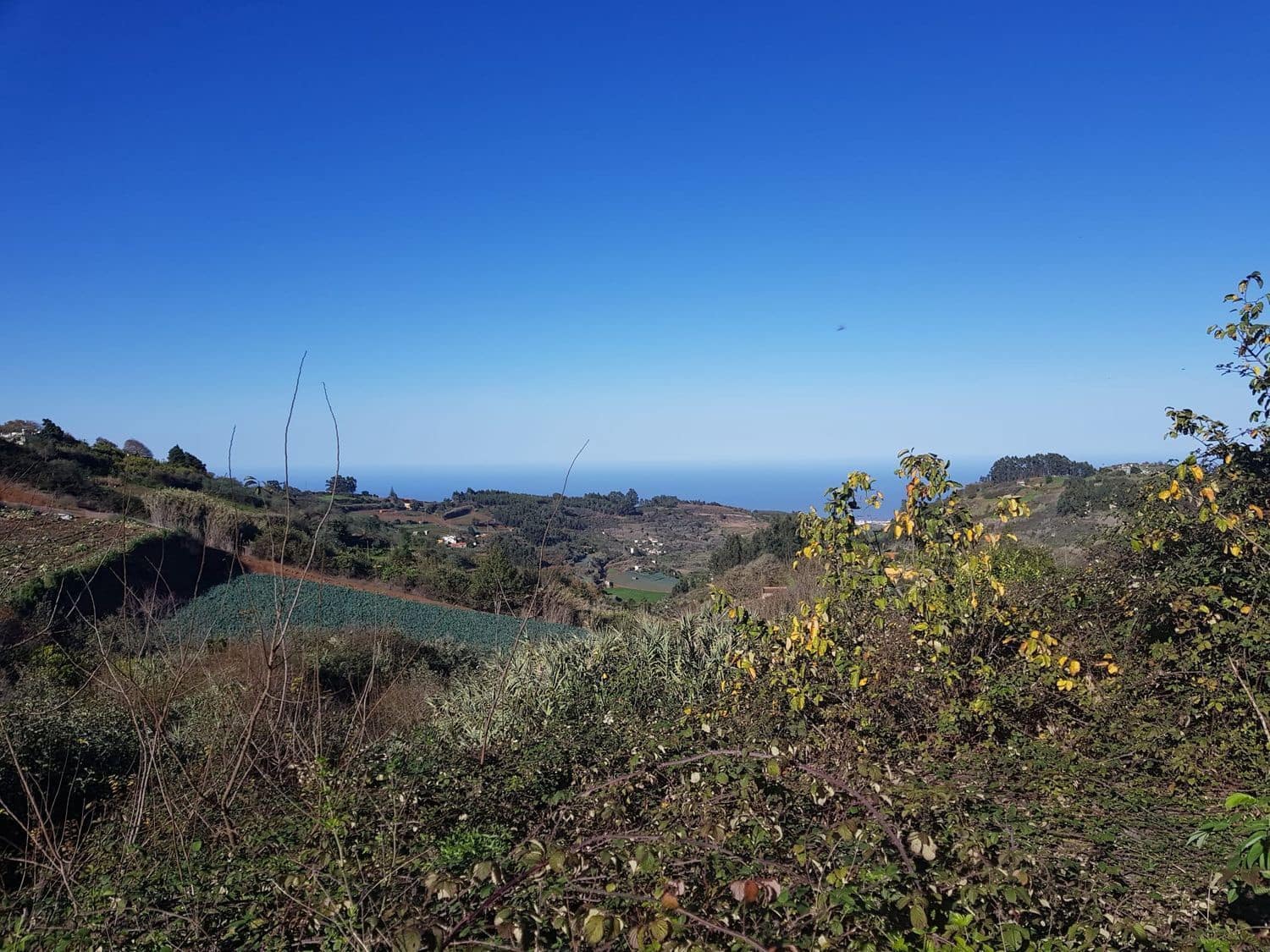 Building Plot for sale in Moya - € 730,000 (Ref: 9882250)