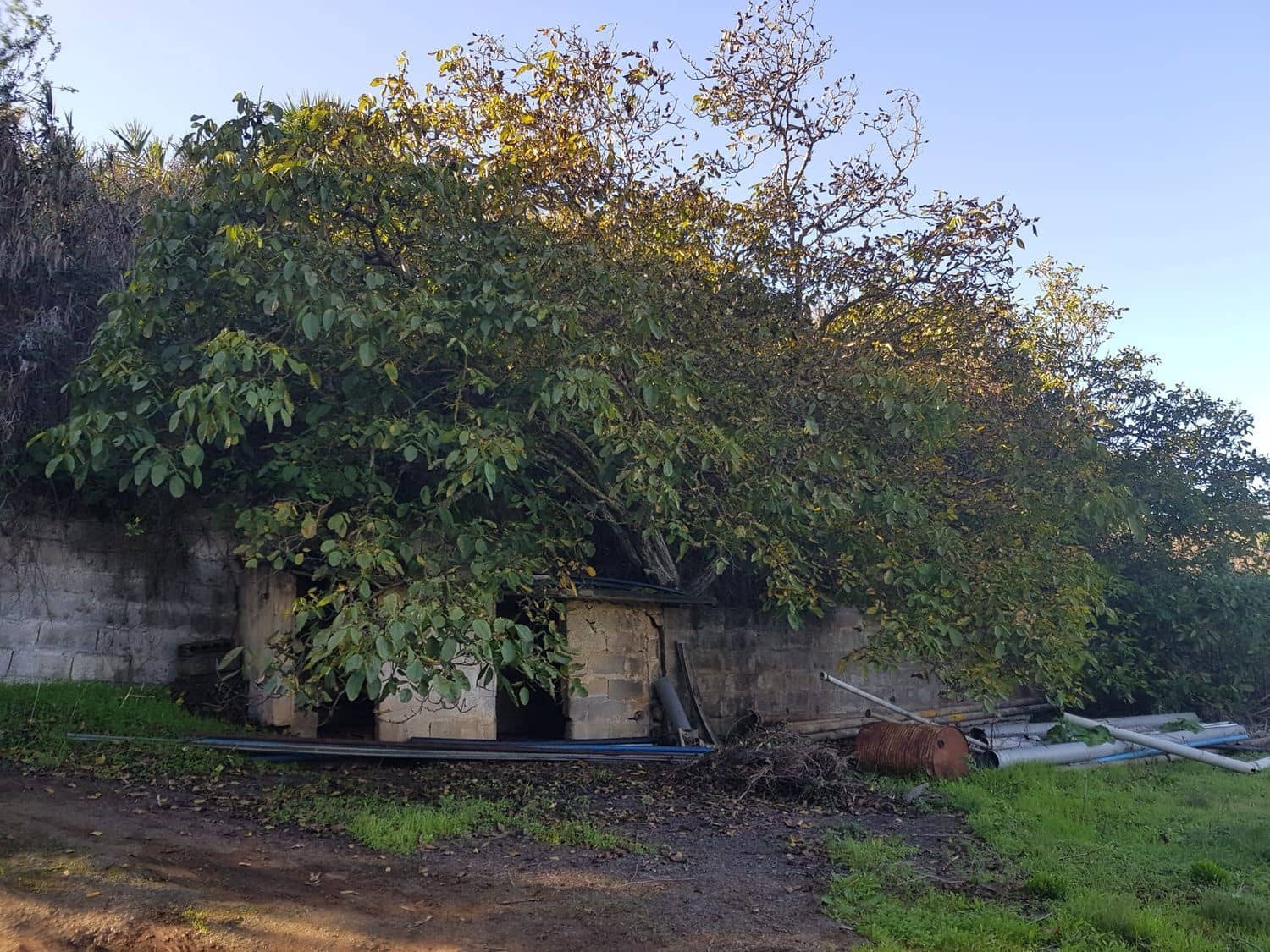 Building Plot for sale in Moya - € 730,000 (Ref: 9882250)