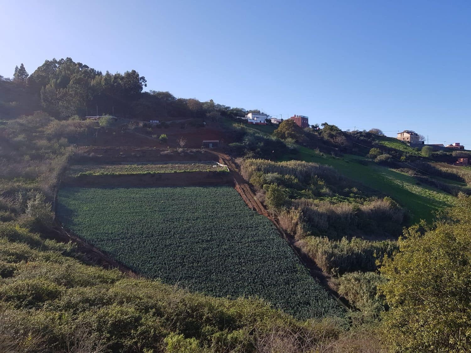 Building Plot for sale in Moya - € 730,000 (Ref: 9882250)