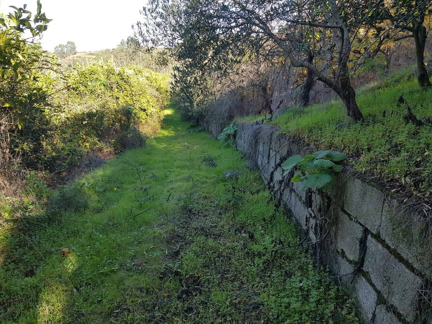 Building Plot for sale in Moya - € 730,000 (Ref: 9882250)