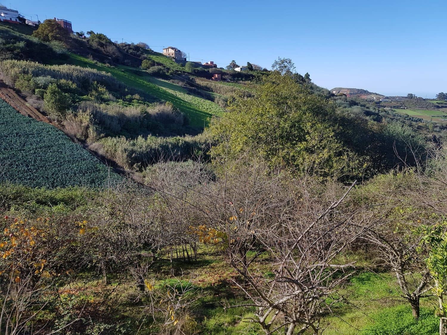 Building Plot for sale in Moya - € 730,000 (Ref: 9882250)