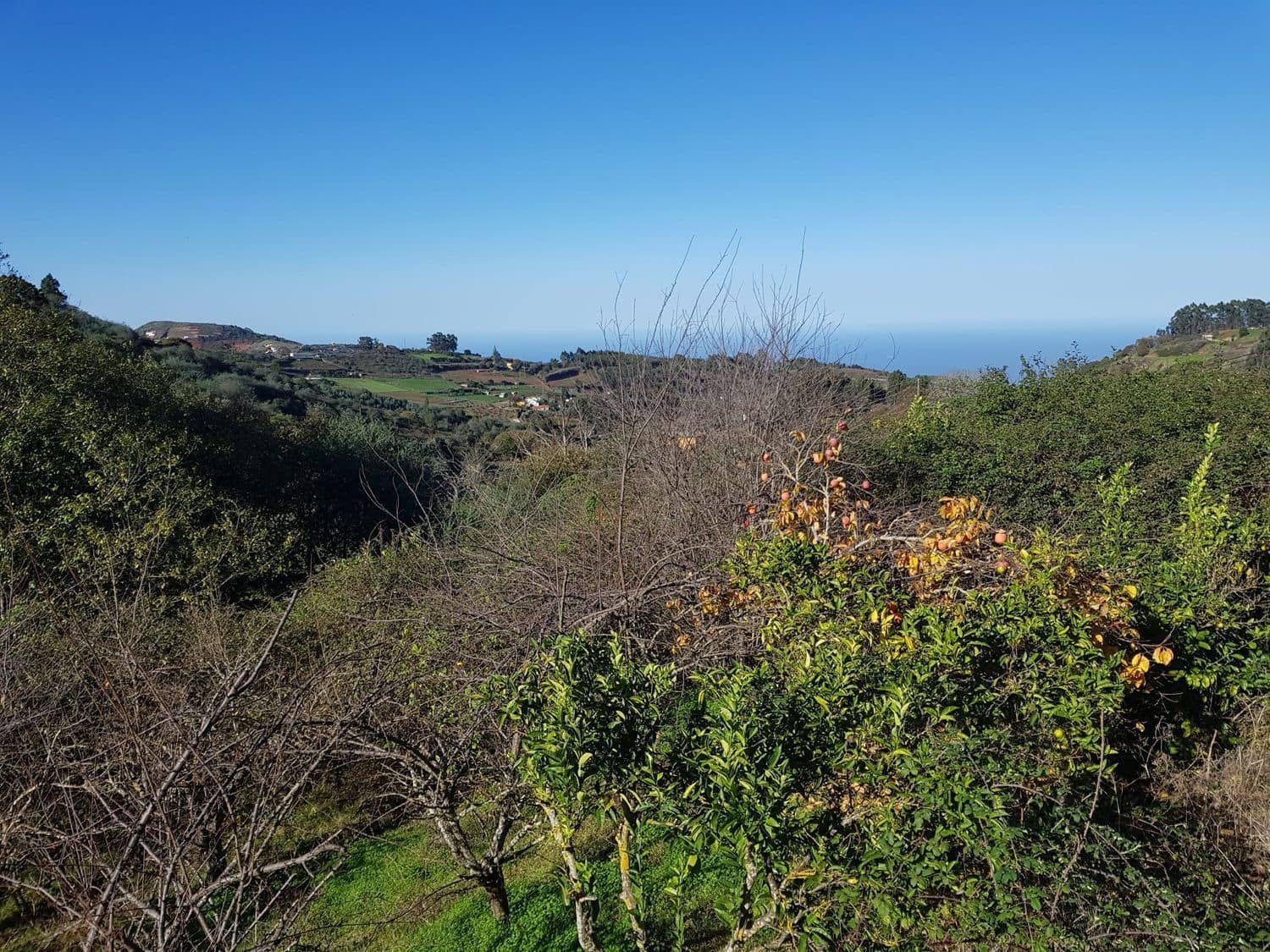 Building Plot for sale in Moya - € 730,000 (Ref: 9882250)