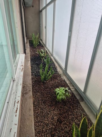 Bureau à vendre à Las Palmas de Gran Canaria - 135 000 € (Ref: 9882254)