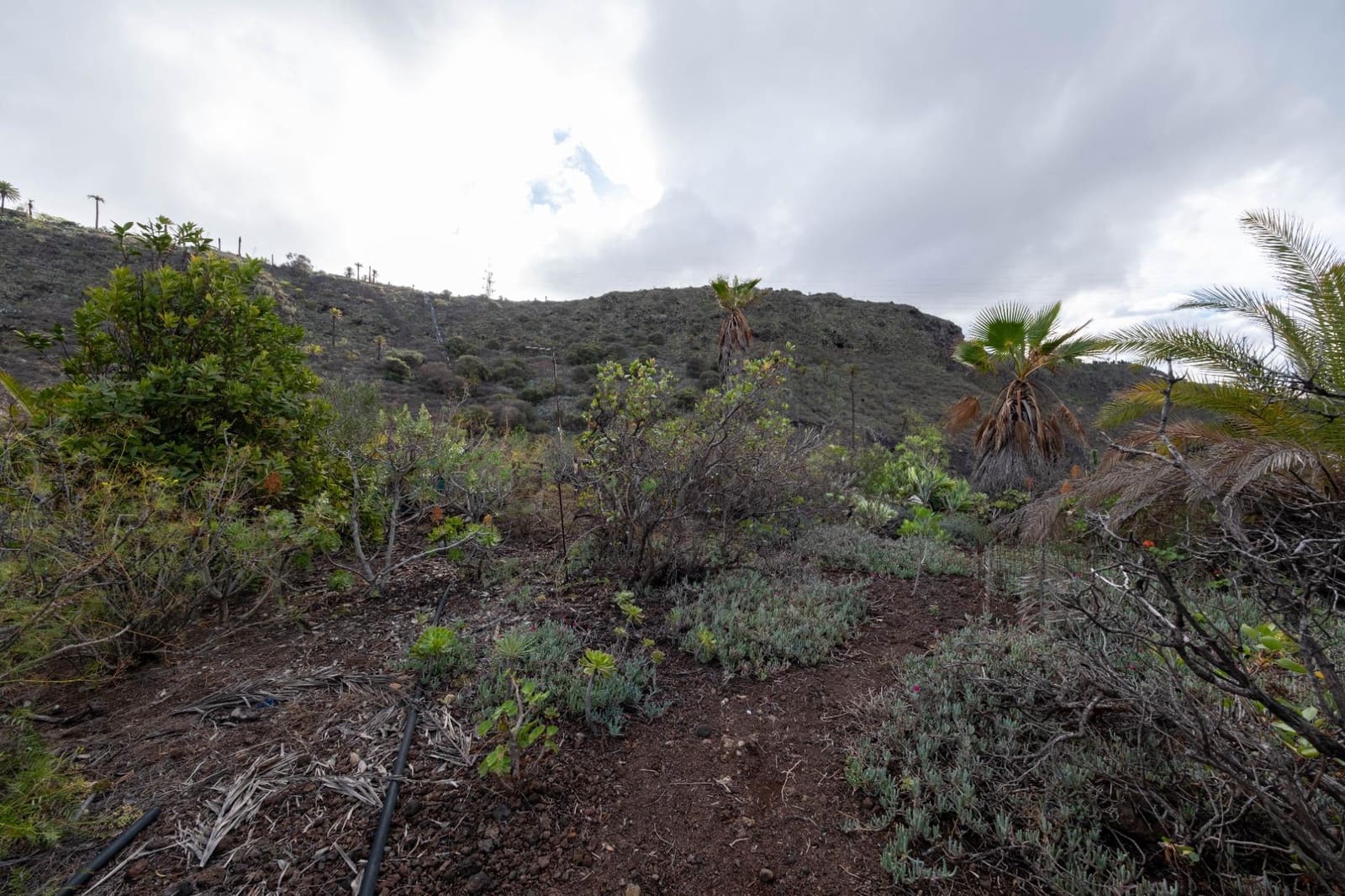 6 soverom Villa til salgs i Las Palmas de Gran Canaria - € 735 000 (Ref: 9882255)