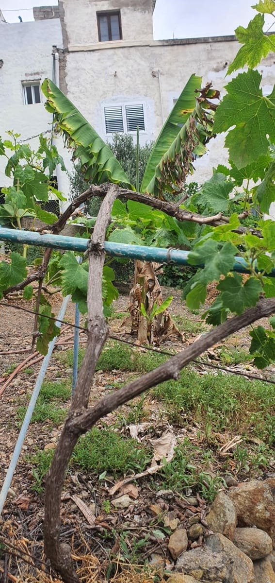 Teren niezagospodarowany na sprzedaż w Las Palmas de Gran Canaria - 49 000 € (Ref: 9882259)
