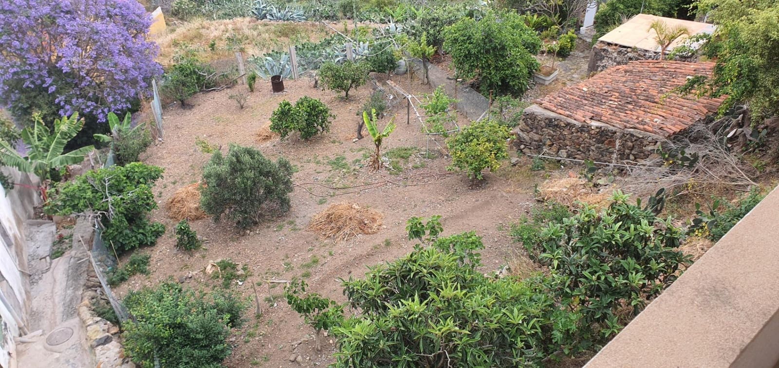 Teren niezagospodarowany na sprzedaż w Las Palmas de Gran Canaria - 49 000 € (Ref: 9882259)