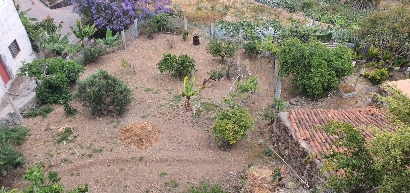 Teren niezagospodarowany na sprzedaż w Las Palmas de Gran Canaria - 49 000 € (Ref: 9882259)