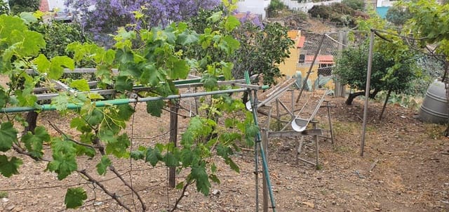 Teren niezagospodarowany na sprzedaż w Las Mesas - El Toscón, Las Palmas de Gran Canaria - 49 000 € (Ref: 9882259)