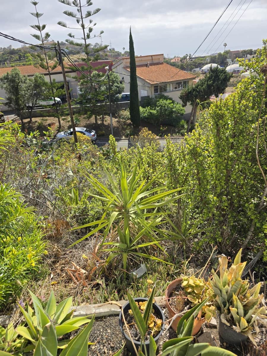 Bouwgrond te koop in Las Palmas de Gran Canaria - € 120.000 (Ref: 9882261)