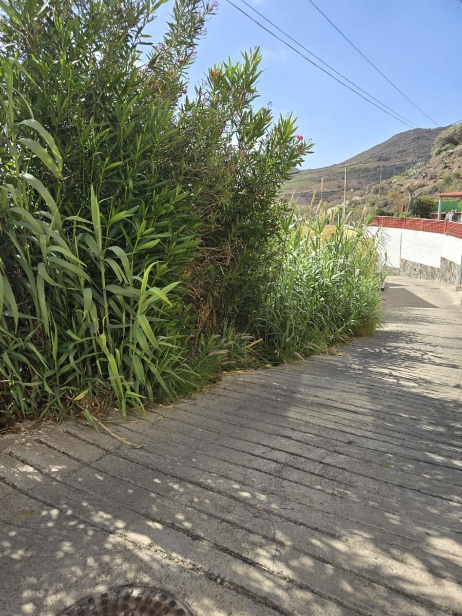 Bouwgrond te koop in Las Palmas de Gran Canaria - € 120.000 (Ref: 9882261)