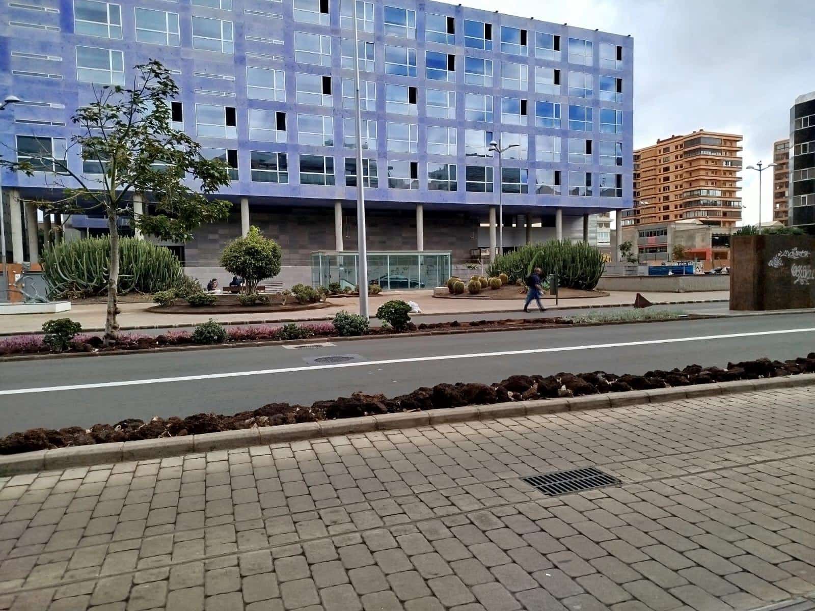 2 bedroom Office for rent in Las Palmas de Gran Canaria - € 800 (Ref: 9882278)