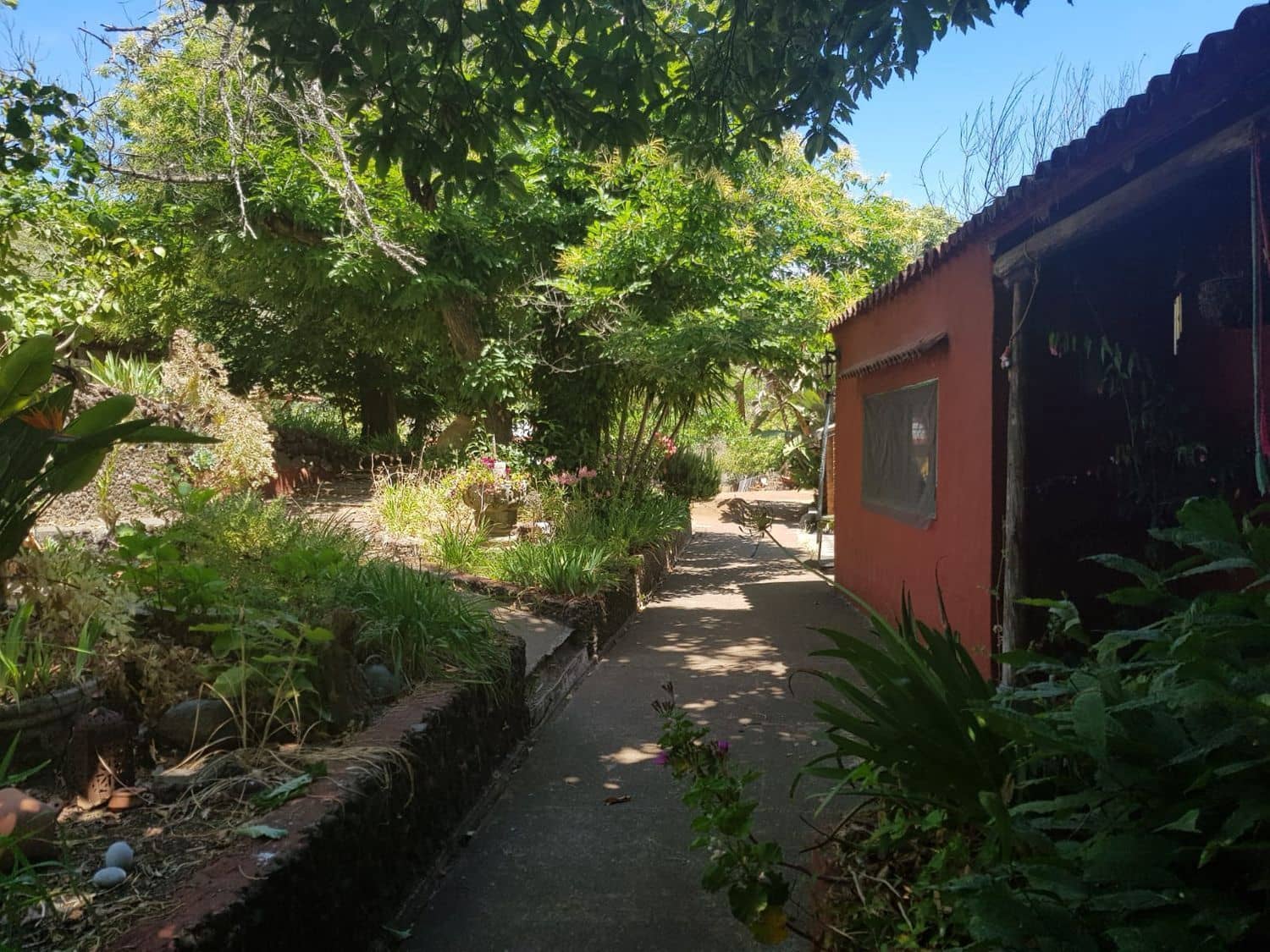 3 slaapkamer Finca/Landhuis te koop in Vega de San Mateo - € 270.000 (Ref: 9882306)