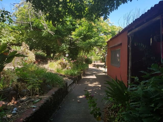 3 slaapkamer Finca/Landhuis te koop in Vega de San Mateo - € 270.000 (Ref: 9882306)