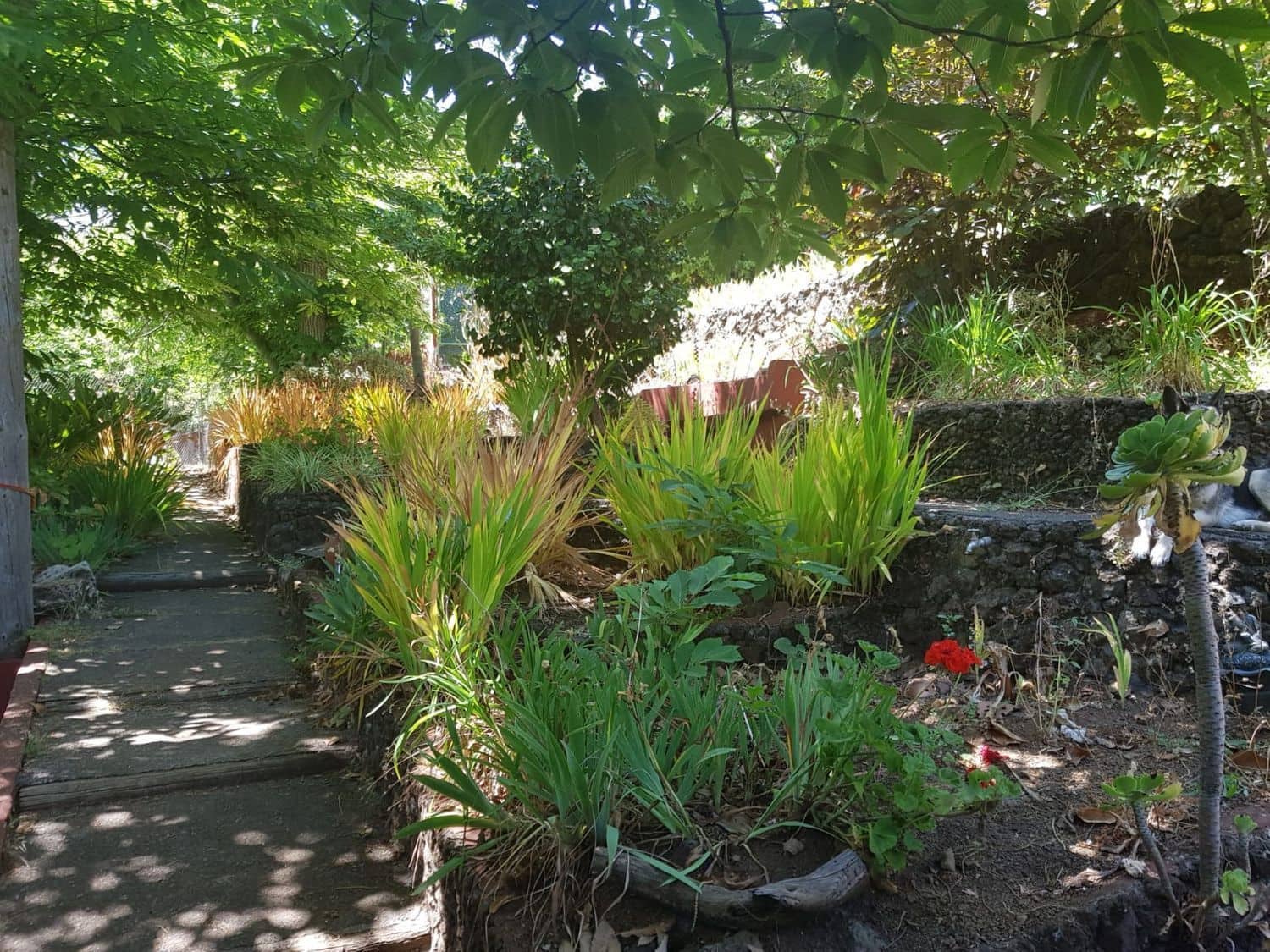 3 slaapkamer Finca/Landhuis te koop in Vega de San Mateo - € 270.000 (Ref: 9882306)