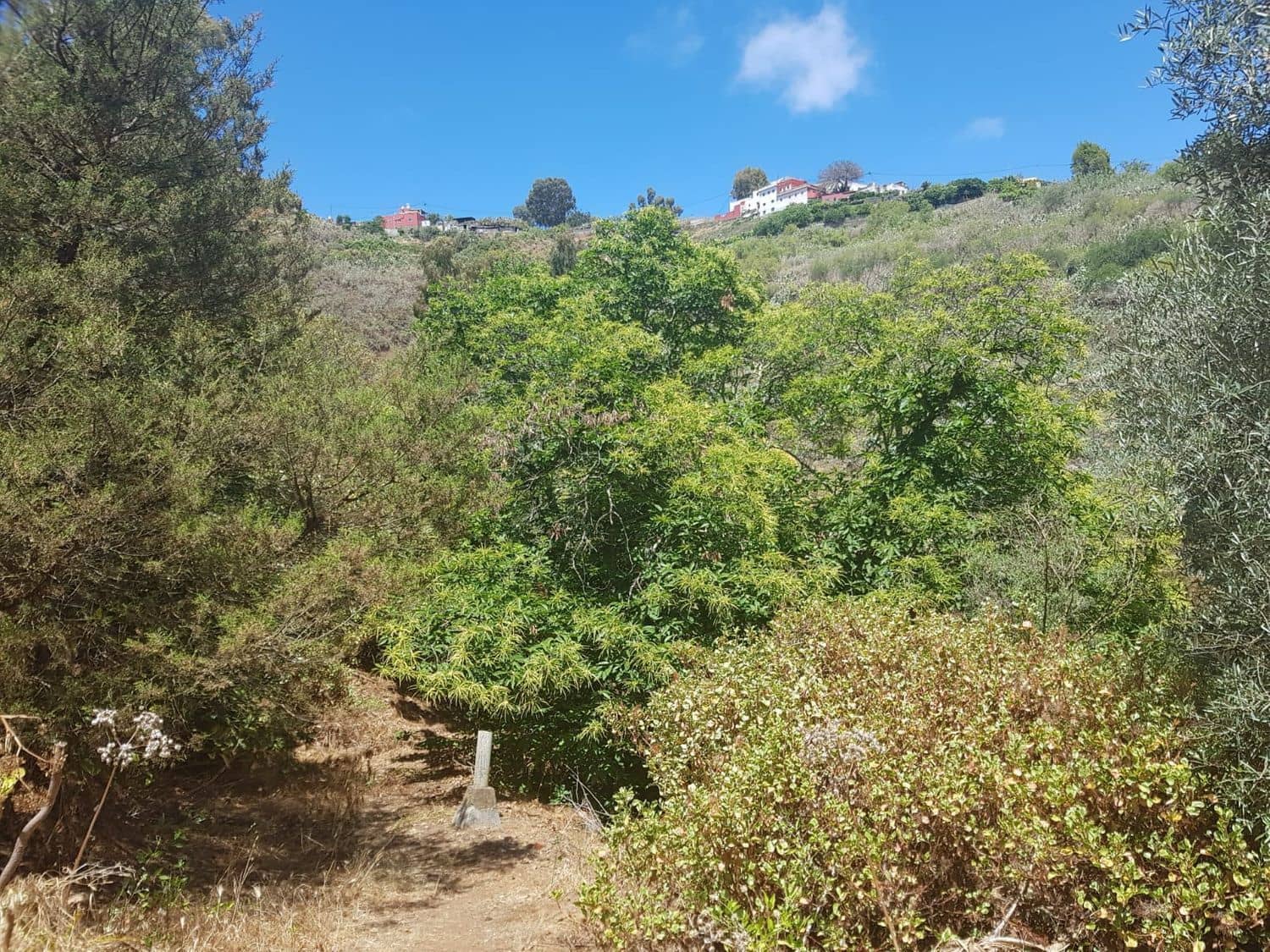 3 slaapkamer Finca/Landhuis te koop in Vega de San Mateo - € 270.000 (Ref: 9882306)