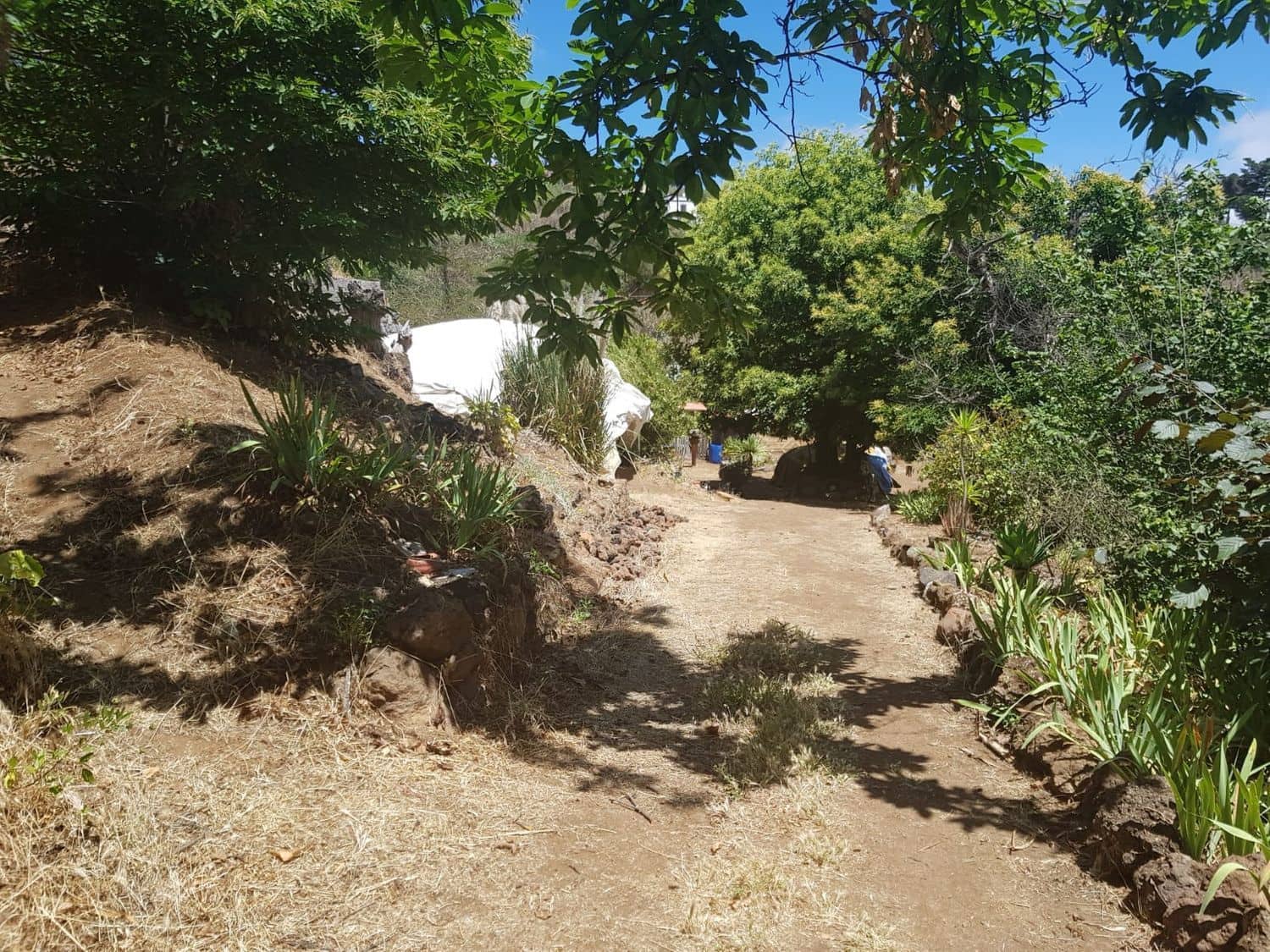 3 slaapkamer Finca/Landhuis te koop in Vega de San Mateo - € 270.000 (Ref: 9882306)