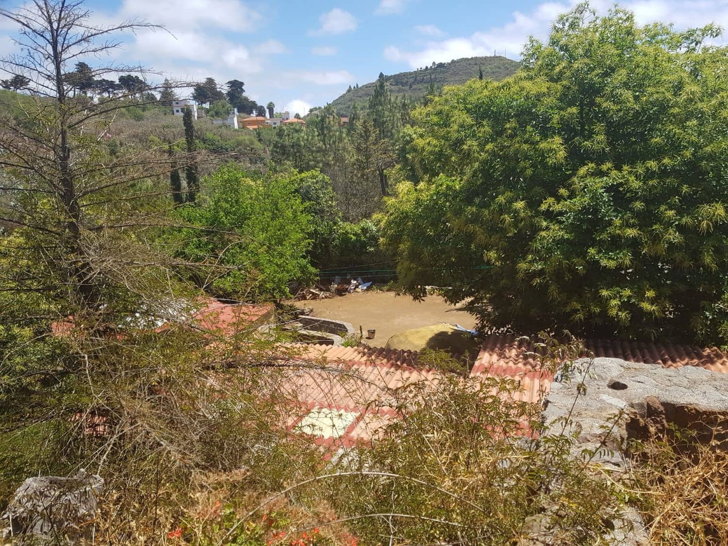 3 slaapkamer Finca/Landhuis te koop in Vega de San Mateo - € 270.000 (Ref: 9882306)