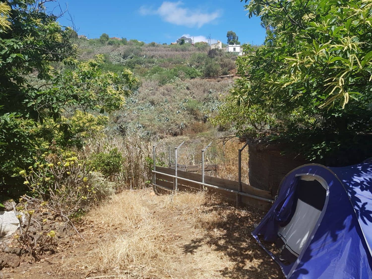 3 slaapkamer Finca/Landhuis te koop in Vega de San Mateo - € 270.000 (Ref: 9882306)