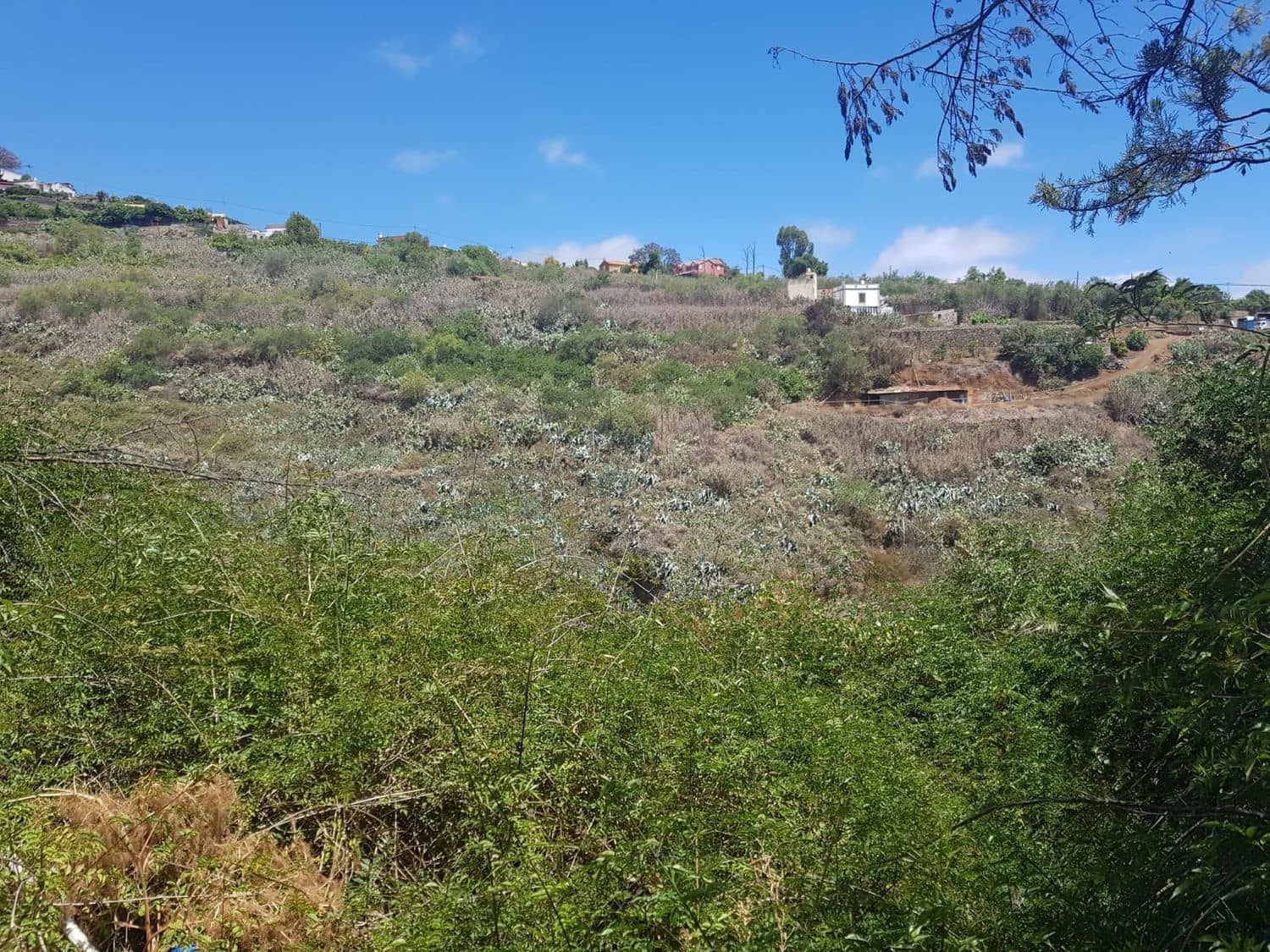 3 slaapkamer Finca/Landhuis te koop in Vega de San Mateo - € 270.000 (Ref: 9882306)