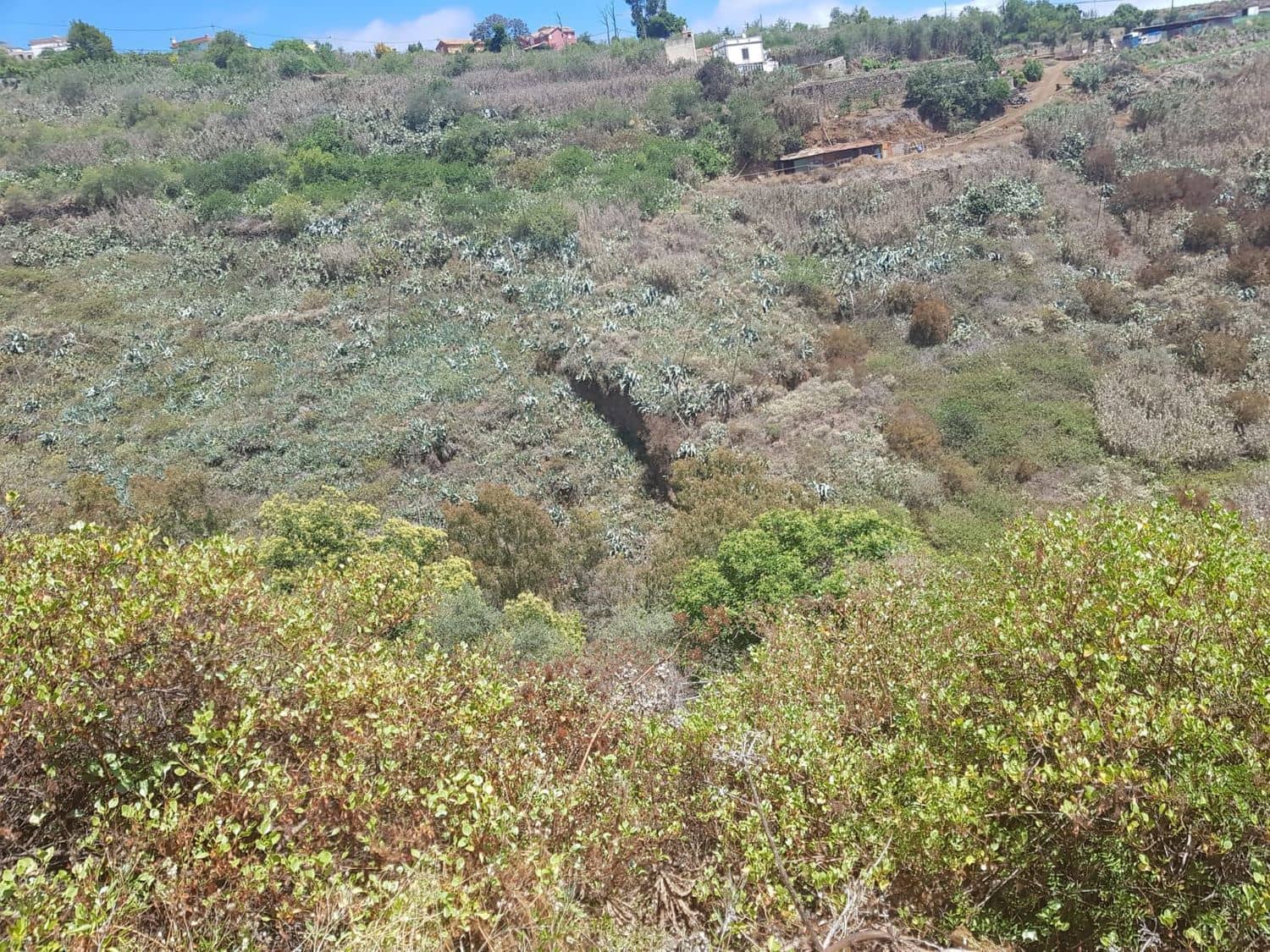 3 slaapkamer Finca/Landhuis te koop in Vega de San Mateo - € 270.000 (Ref: 9882306)