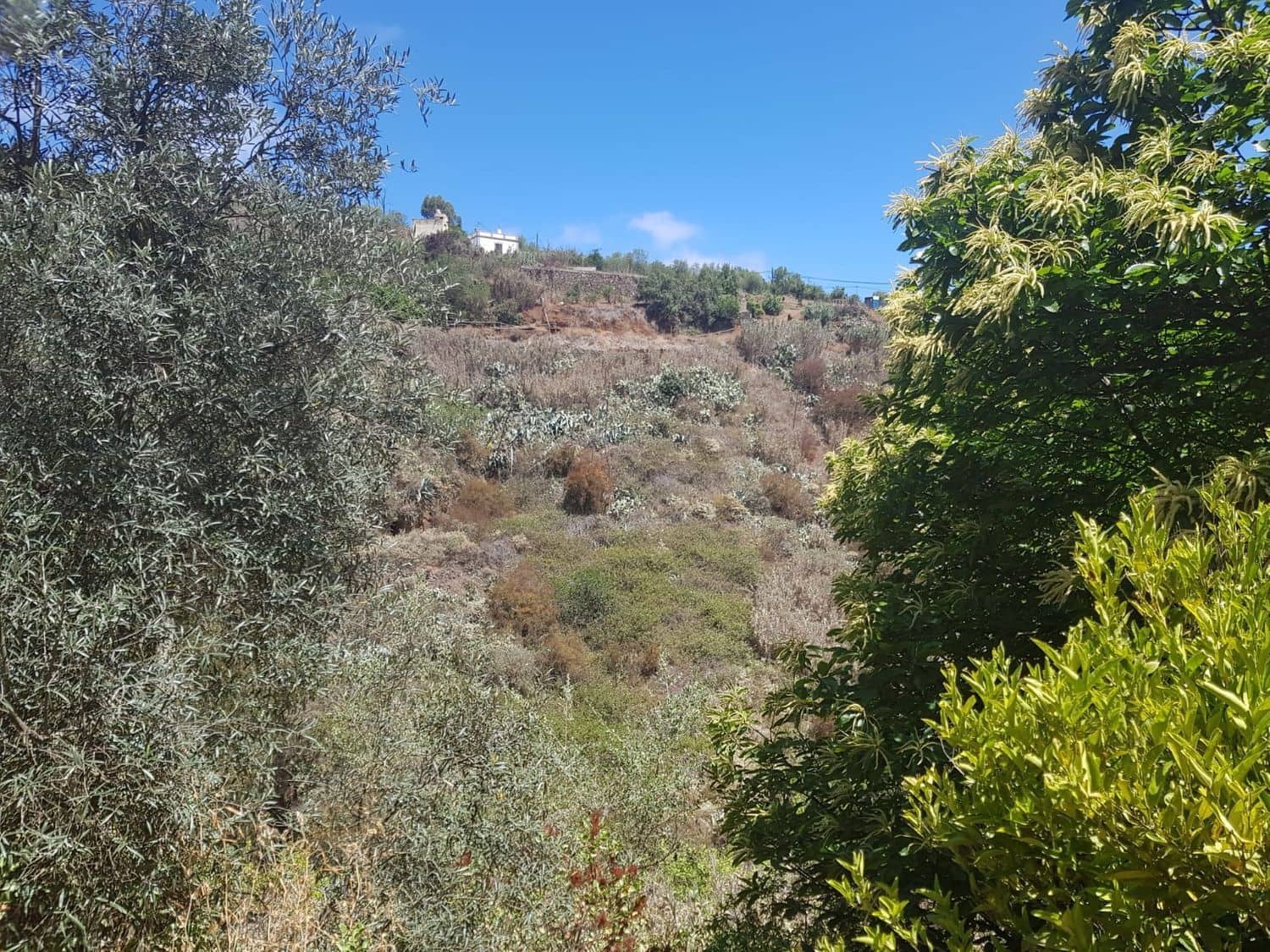 3 slaapkamer Finca/Landhuis te koop in Vega de San Mateo - € 270.000 (Ref: 9882306)