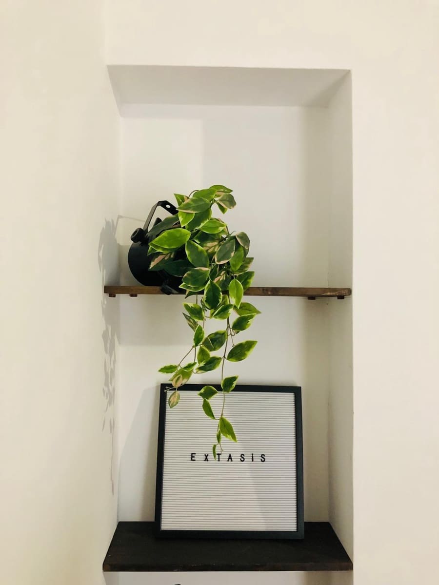 Studio for rent in Las Palmas de Gran Canaria - € 850 (Ref: 9927527)