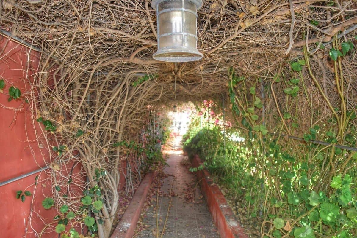 5 soveværelse Villa til salg i San Miguel de Abona med swimmingpool garage - € 1.044.000 (Ref: 8681972)