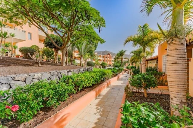 2 soveværelse Lejlighed til salg i Costa Adeje, Adeje med swimmingpool garage - € 409.000 (Ref: 8800666)