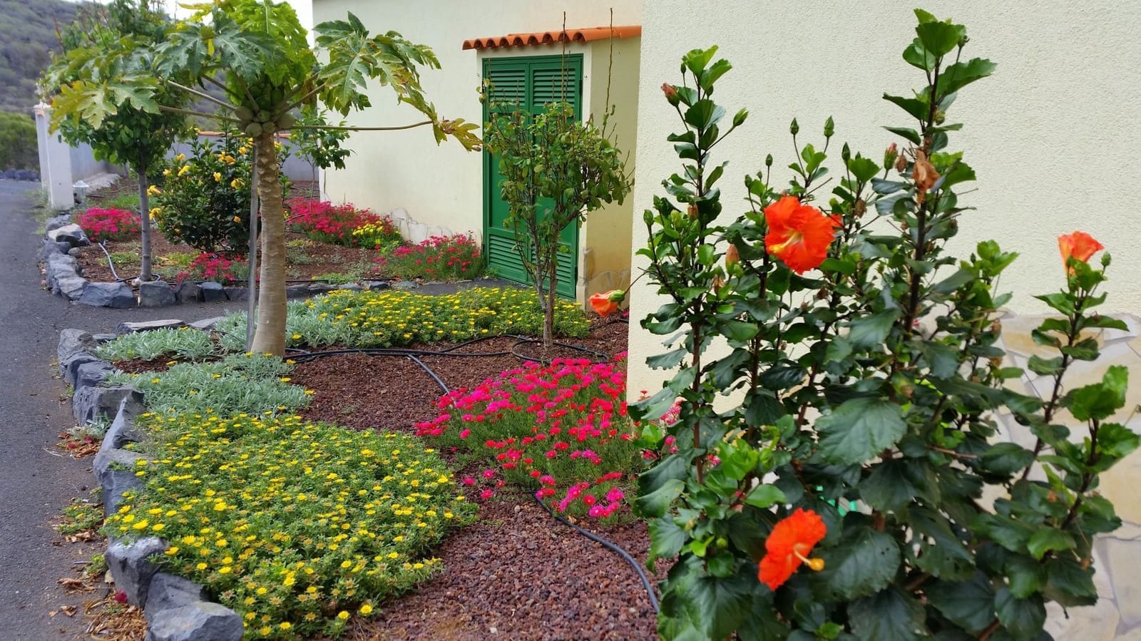 6 soverom Finca/Herregård til salgs i Guia de Isora med svømmebasseng garasje - € 1 200 000 (Ref: 8812171)