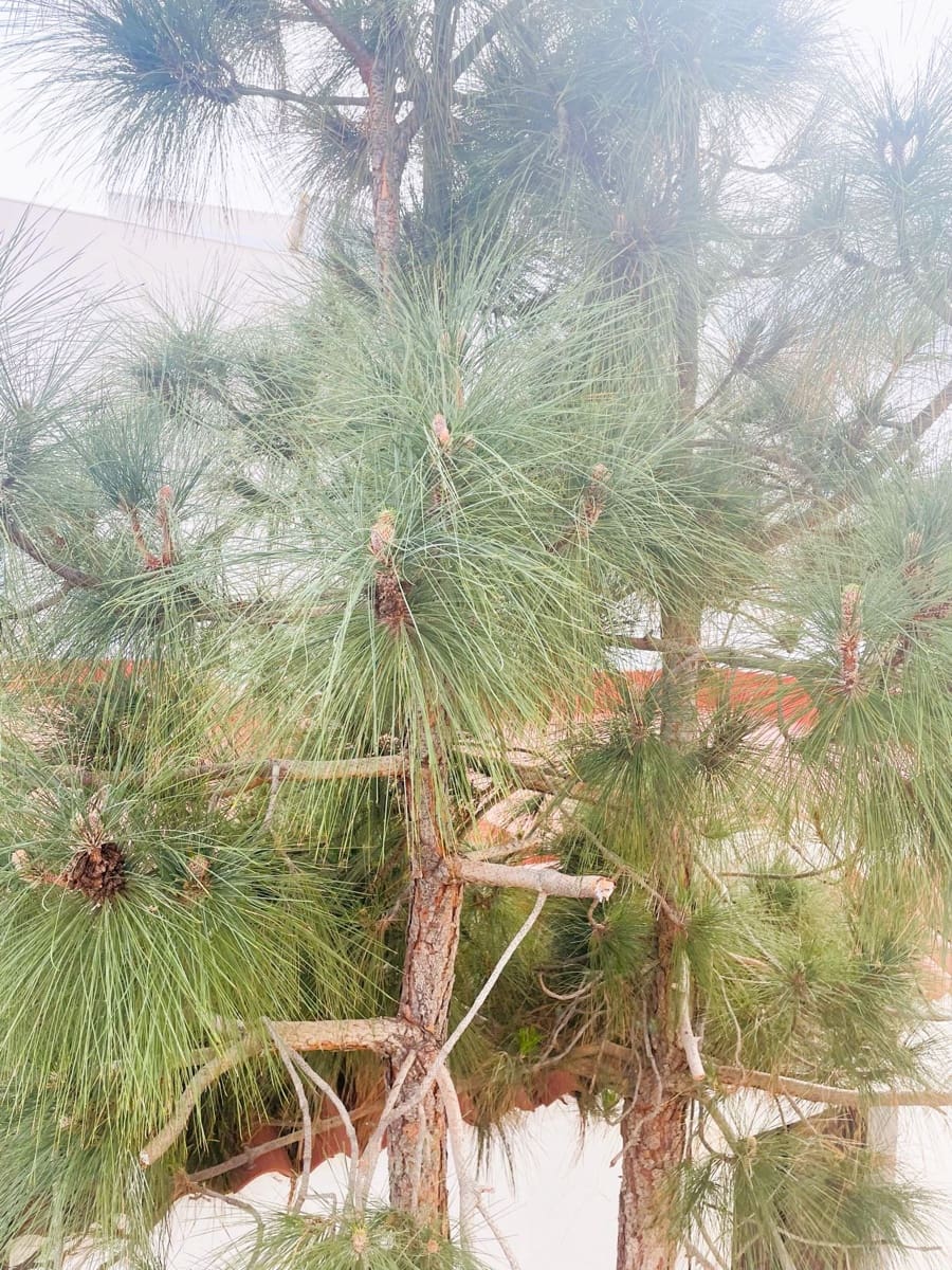 3 soveværelse Semi-Rækkehus til salg i Tijoco Bajo med garage - € 345.000 (Ref: 8842962)