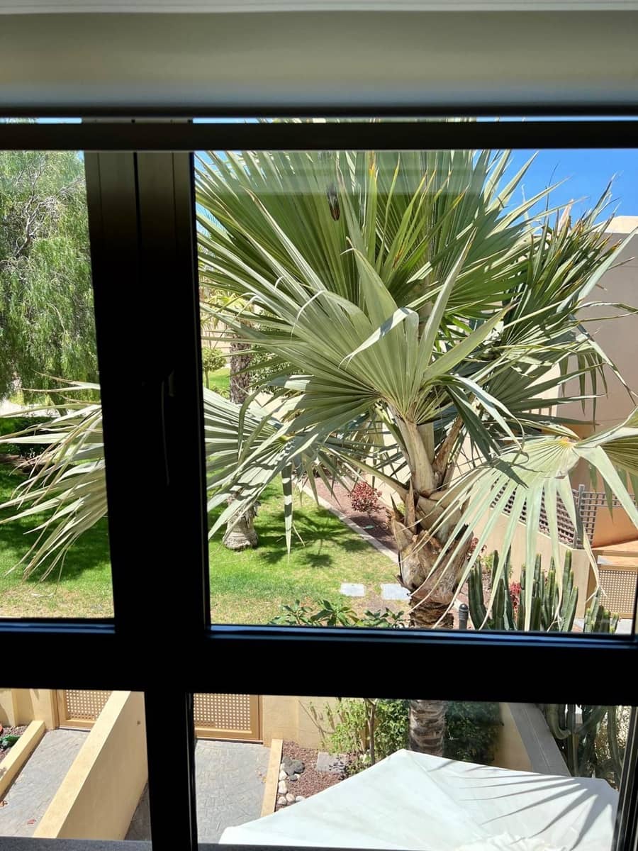 2 soverom Kjedet enebolig til salgs i El Medano med svømmebasseng garasje - € 390 000 (Ref: 9141418)