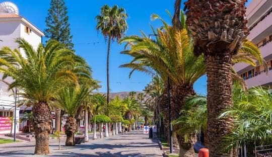 3 soveværelse Lejlighed til leje i Los Cristianos, Arona med garage - € 3.000 (Ref: 9141421)