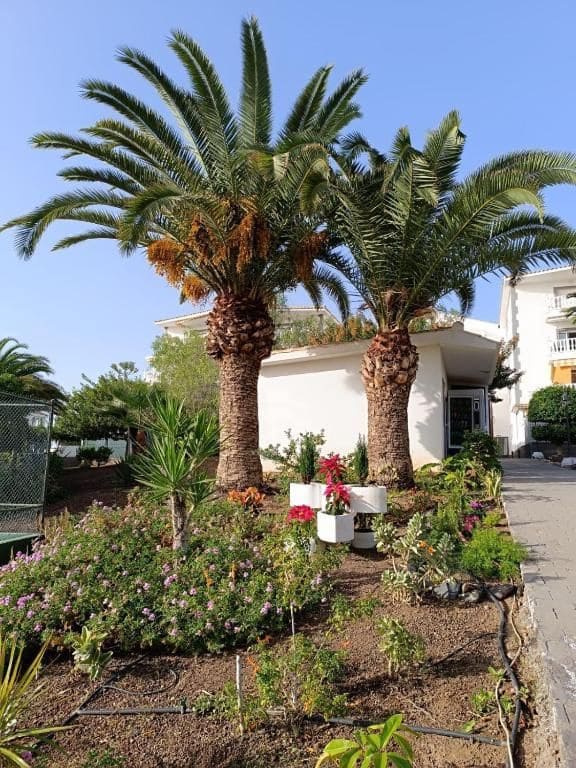 4 soveværelse Villa til salg i Los Cristianos med swimmingpool garage - € 890.000 (Ref: 9162065)
