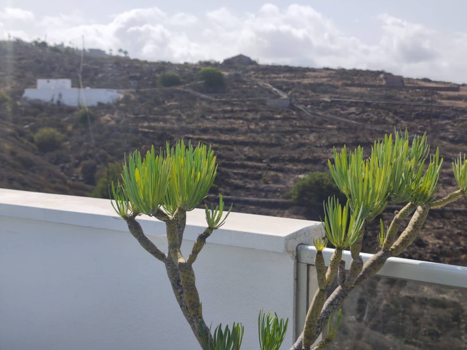 Studio til leje i Tijoco Bajo - € 1.320 (Ref: 9219737)