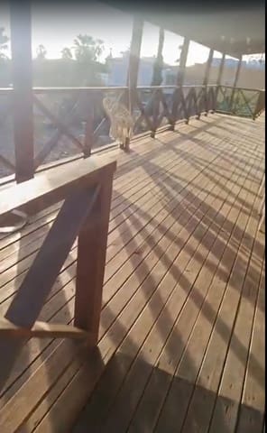 3 soverom Villa til leie i Adeje - € 3 000 (Ref: 9346938)