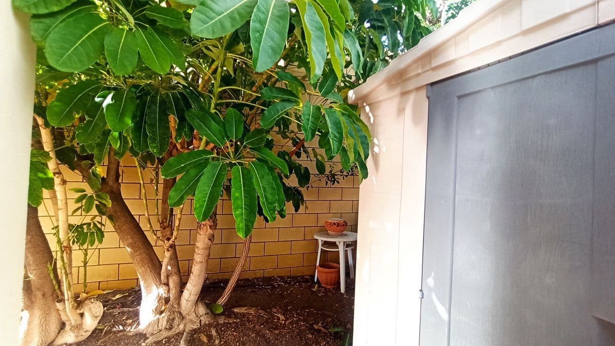 Chalet de 3 habitaciones en Puerto Santiago en venta con piscina garaje - 750.000 € (Ref: 9398228)