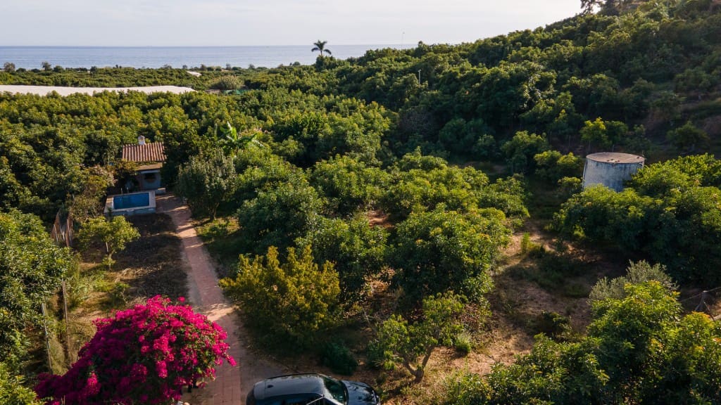 Huvila myytävänä paikassa Nerja mukana uima-altaan 
autotalli - 320 000 € (Ref: 9243079)