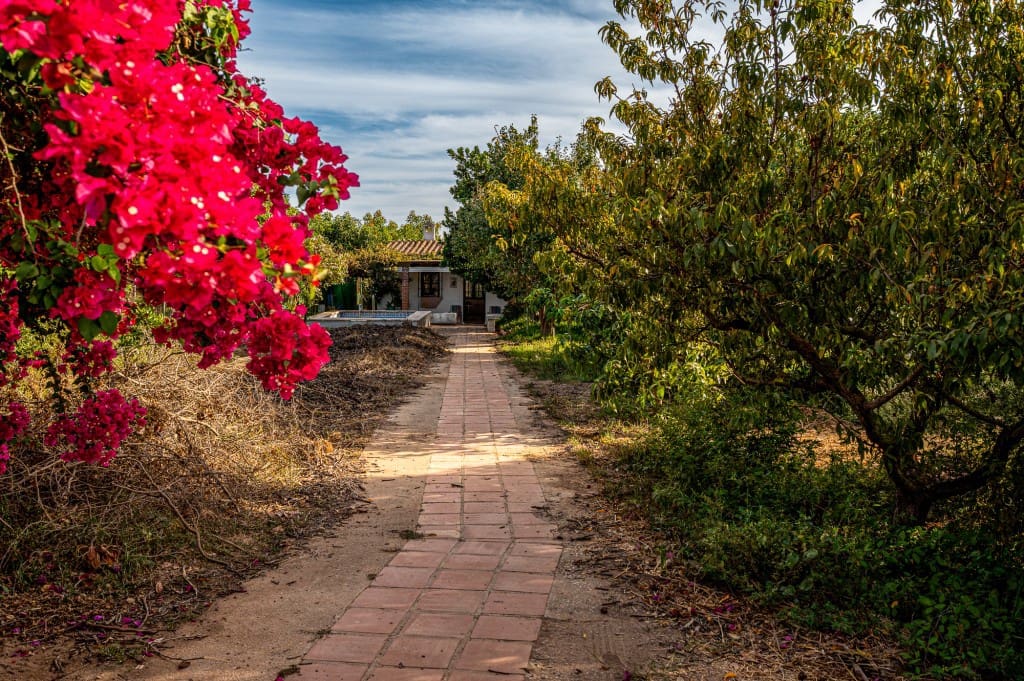 Huvila myytävänä paikassa Nerja mukana uima-altaan 
autotalli - 320 000 € (Ref: 9243079)