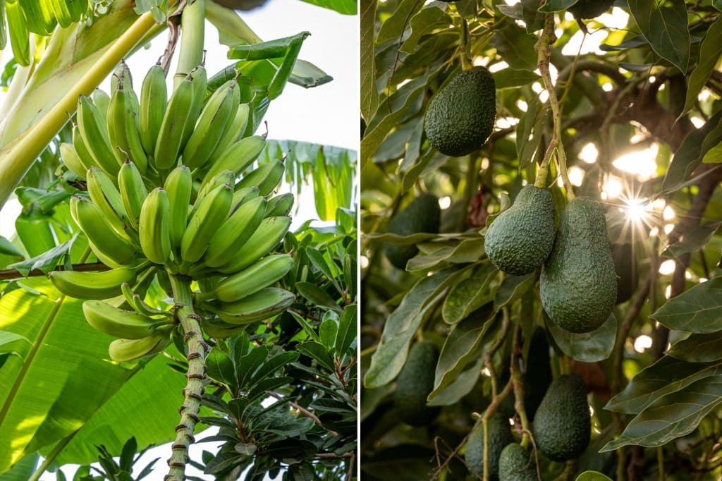 Huvila myytävänä paikassa Nerja mukana uima-altaan 
autotalli - 320 000 € (Ref: 9243079)