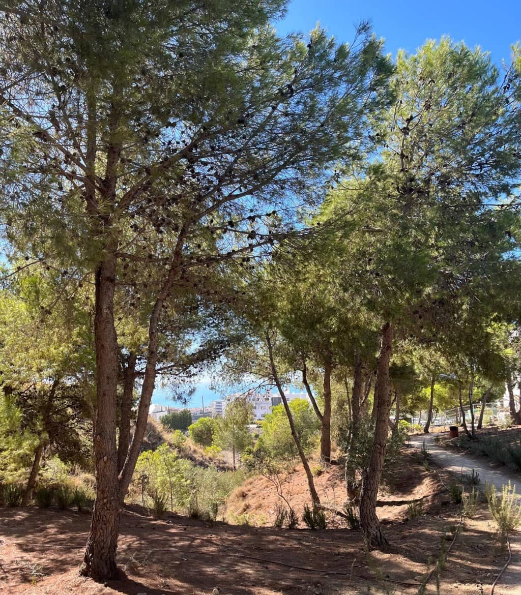 3 Zimmer Apartment zu verkaufen in Benalmadena mit Pool - 999.900 € (Ref: 9330339)